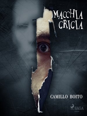 cover image of Macchia grigia